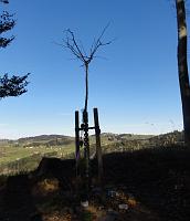  19. November 2011 - nach einer langen Wanderung an einem wunderschönen Herbstsamstag 